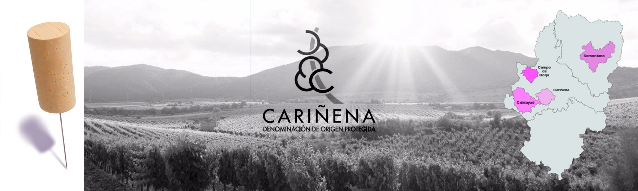 denominacion cariñena
