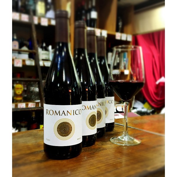 romanico-en-bodegasanz